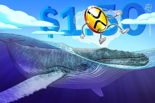 Кошельки китов XRP достигают рекордных уровней: что это значит?