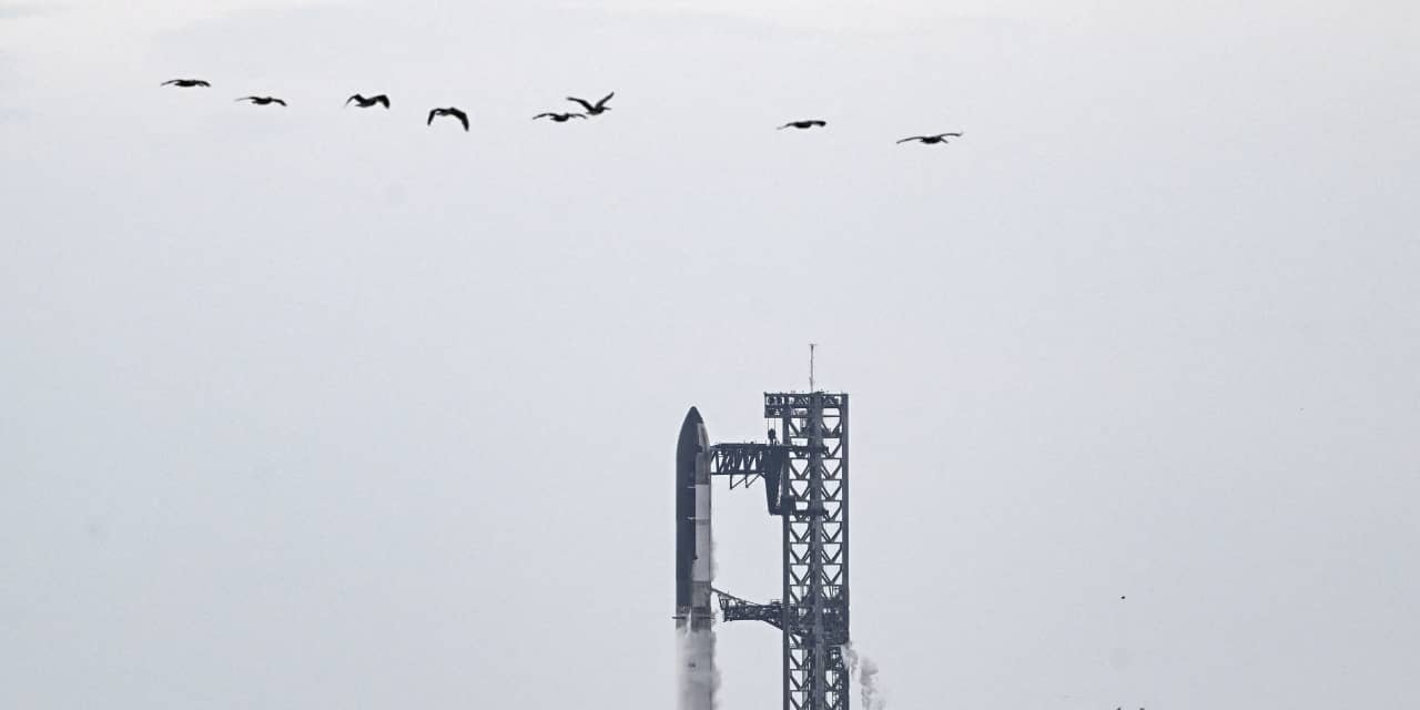 5 причин, почему SpaceX разделила акции и что это значит