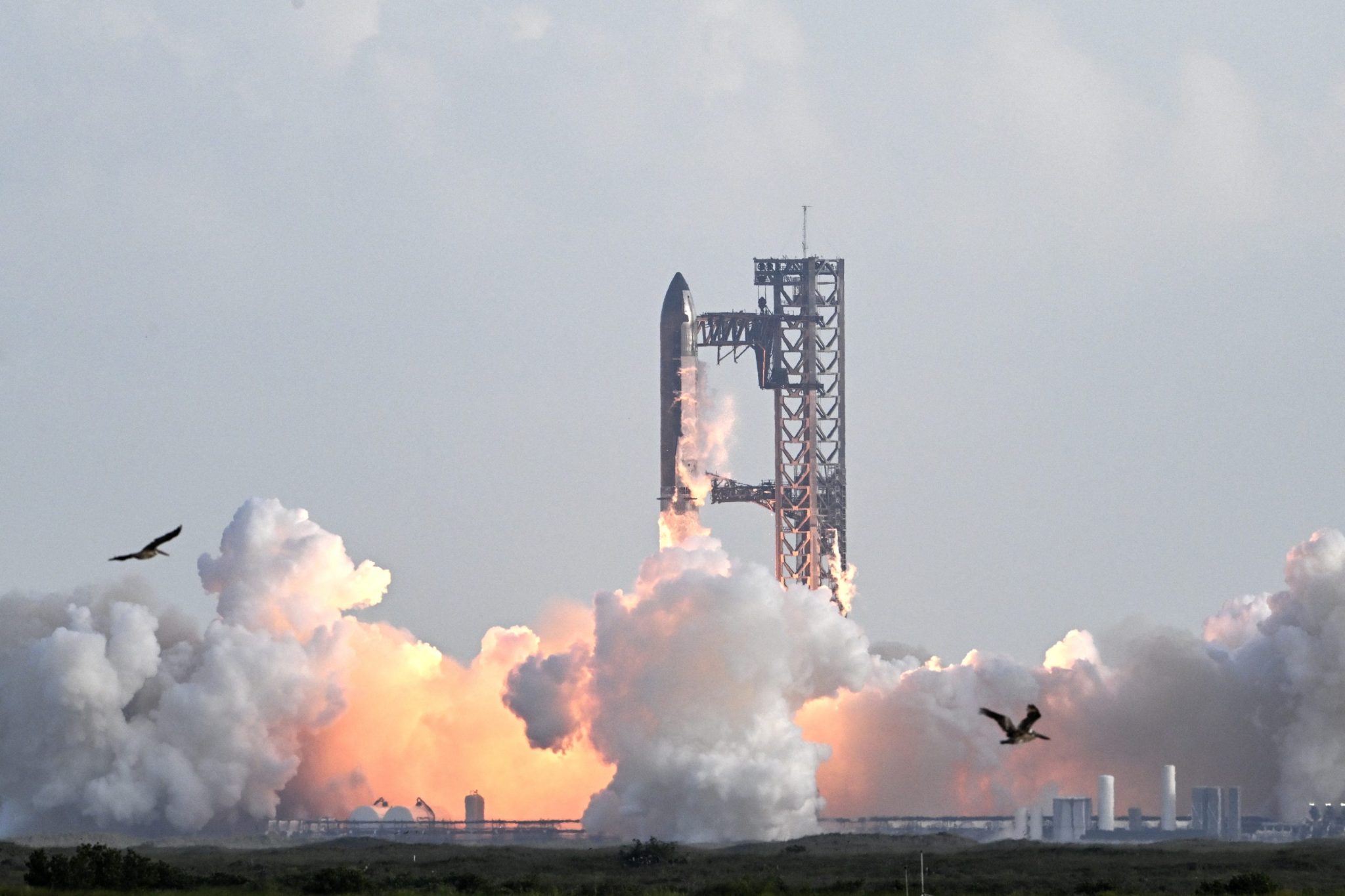 5 причин ожидать рекордное IPO SpaceX